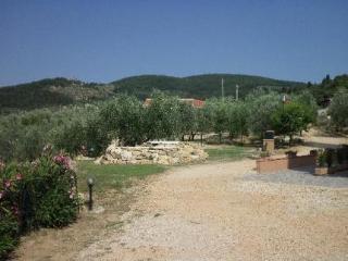 General view