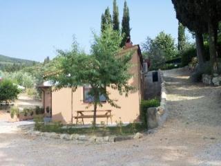 General view