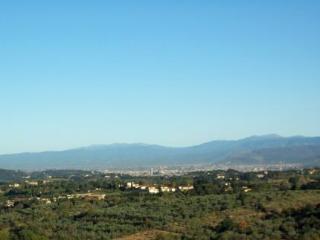 General view