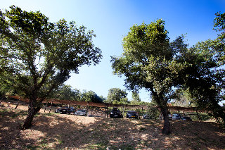 General view