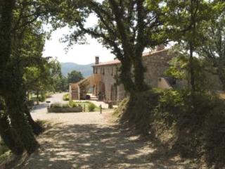 General view