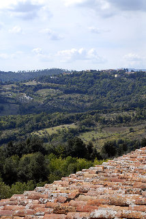General view