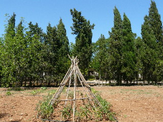 Agroturismo Es Palmer