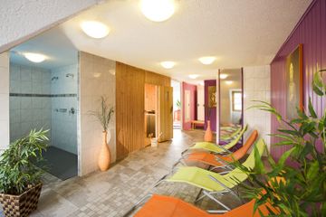 Alp Art Hotel, Günter Ellinger