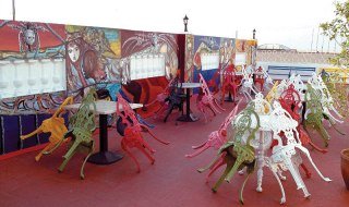 Terrace