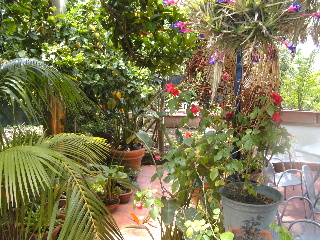 Villa Fiorentina