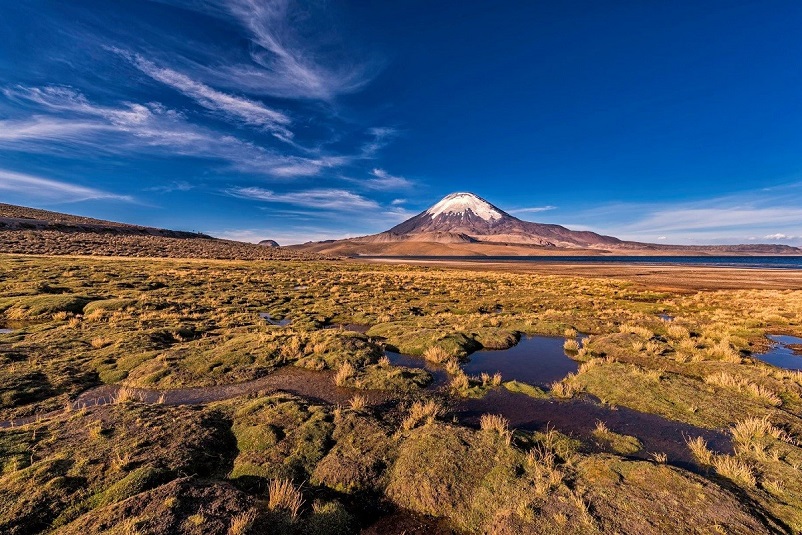 Атакама Альтиплано