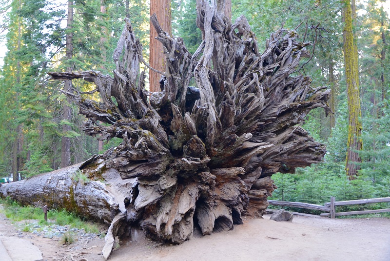 Йосемити Калифорния тур Yosemite park