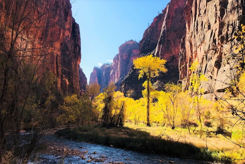 Зион Каньон Zion National Park Юта