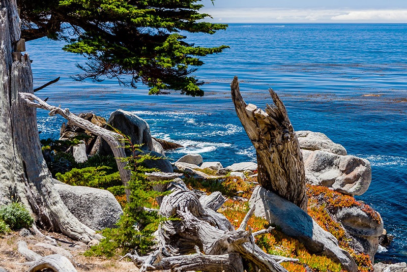 17 mile drive