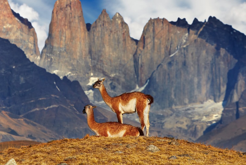 Торрес дель Пайне (Чили)