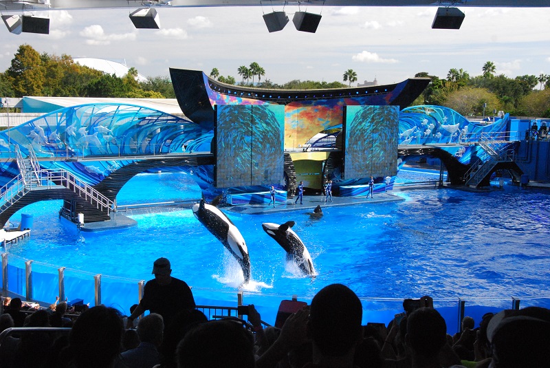 Парк SeaWorld Orlando