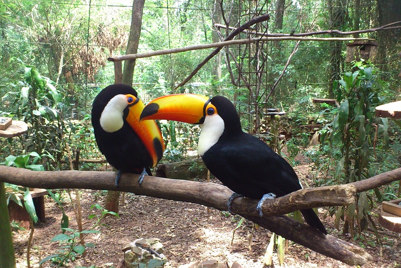 Игуасу Бразилия