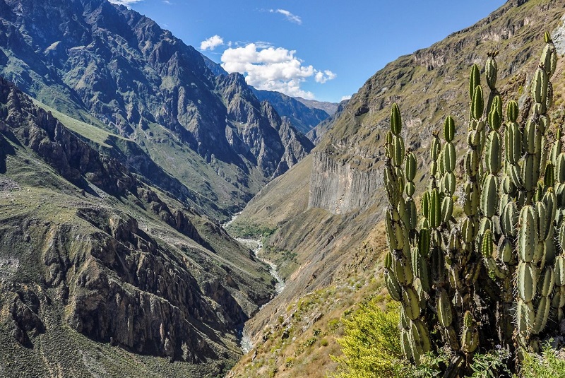 Каньон Колка