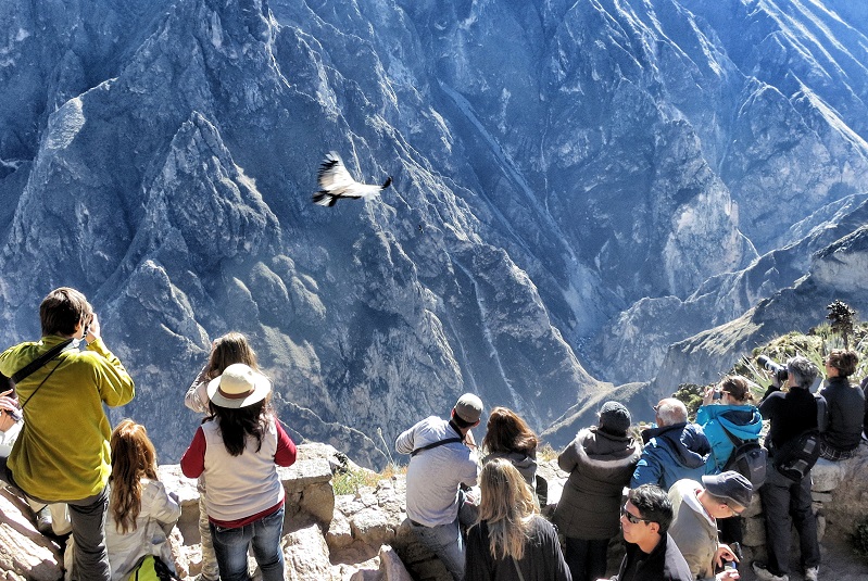 Круз дель Кондор